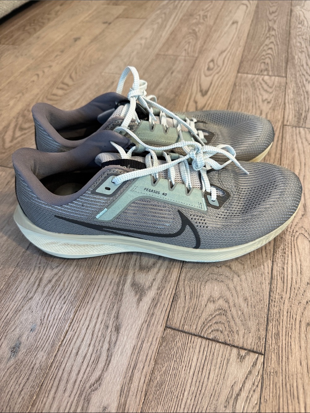 Nike Men's Pegasus 40 Running Shoes